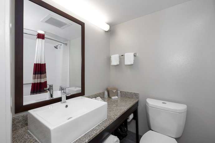 Imagen de la habitación del Hotel Red Roof Inn PLUS+ Tuscaloosa - University. Foto 13