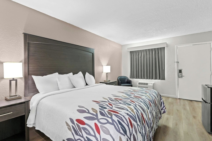 Imagen de la habitación del Hotel Red Roof Inn Panama City Beach. Foto 2