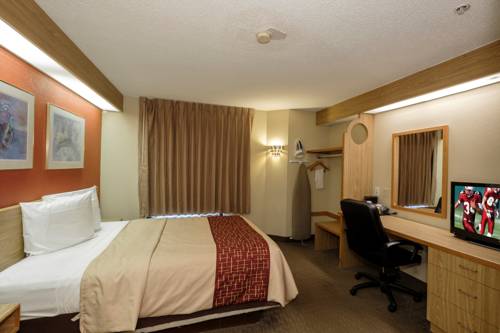 Imagen de la habitación del Hotel Red Roof Inn Pensacola Fairgrounds. Foto 4