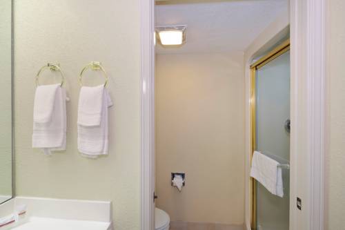 Imagen de la habitación del Hotel Red Roof Inn Pensacola Fairgrounds. Foto 14