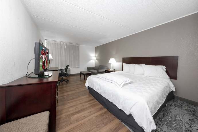 Imagen de la habitación del Hotel Red Roof Inn Plus+ Newark Liberty Airport - Carteret. Foto 6