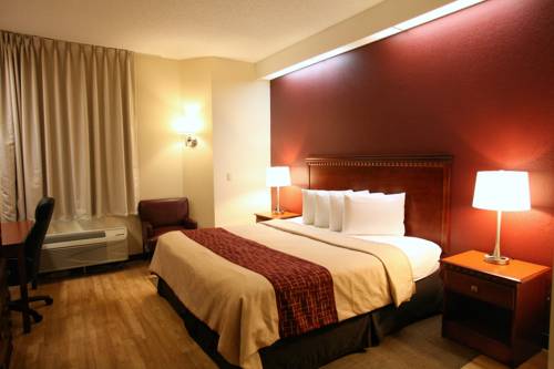 Imagen de la habitación del Hotel Red Roof Inn Plus+ Palm Coast. Foto 2