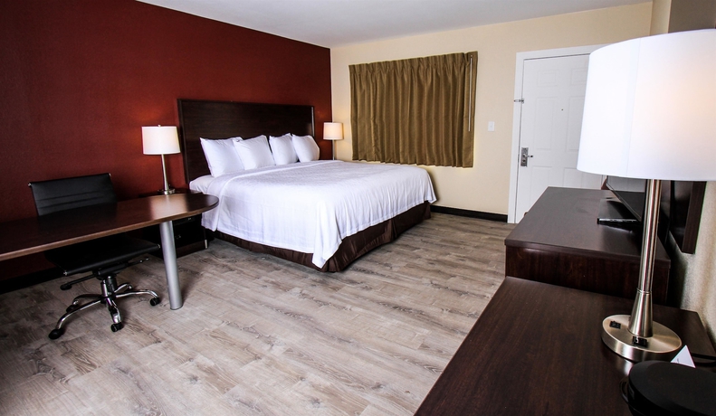Imagen de la habitación del Hotel Red Roof Inn Plus+ Williams - Grand Canyon. Foto 13