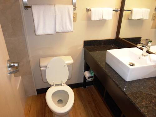 Imagen de la habitación del Hotel Red Roof Inn Plus+ & Suites Chattanooga - Downtown. Foto 5