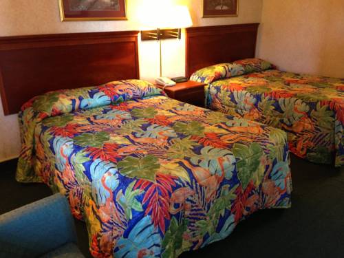 Imagen de la habitación del Hotel Red Roof Inn Plus+ and Suites Erie. Foto 9
