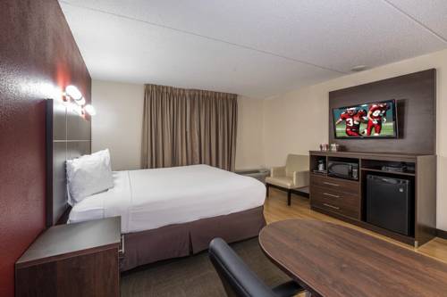 Imagen de la habitación del Hotel Red Roof Inn Plus+ and Suites Knoxville West-cedar Bluff. Foto 11