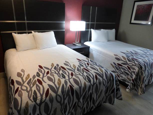 Imagen de la habitación del Hotel Red Roof Inn Redding. Foto 15
