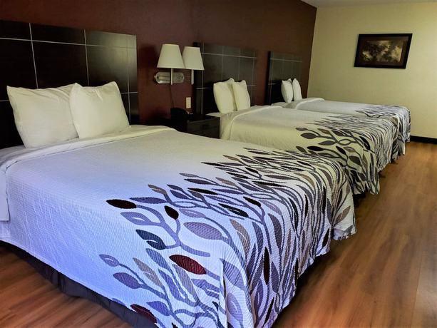 Imagen de la habitación del Hotel Red Roof Inn San Marcos. Foto 2