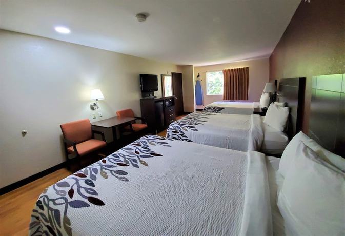 Imagen de la habitación del Hotel Red Roof Inn San Marcos. Foto 9