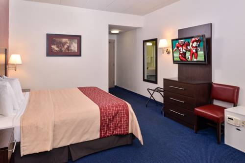 Imagen de la habitación del Hotel Red Roof Inn Sandusky - Milan. Foto 5