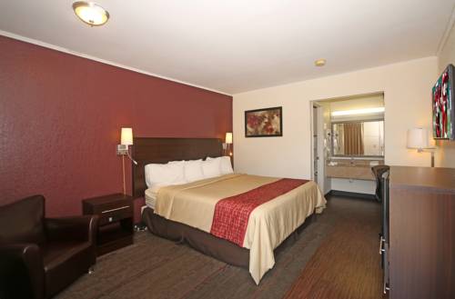Imagen de la habitación del Hotel Red Roof Inn Santee. Foto 6