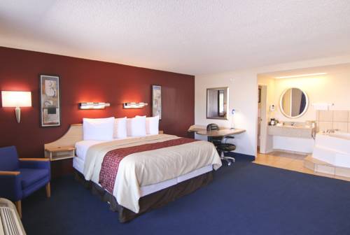 Imagen de la habitación del Hotel Red Roof Inn Somerset. Foto 13