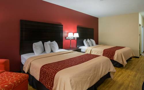 Imagen de la habitación del Hotel Red Roof Inn South Bend - Mishawaka. Foto 3