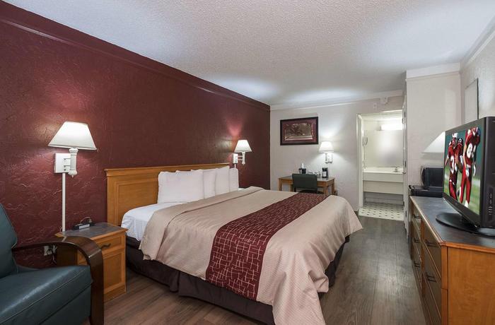 Imagen de la habitación del Hotel Red Roof Inn Tampa Bay - St. Petersburg. Foto 3