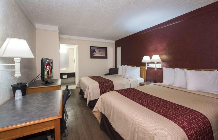 Imagen de la habitación del Hotel Red Roof Inn Tampa Bay - St. Petersburg. Foto 4