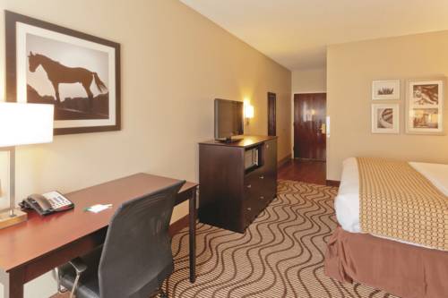 Imagen de la habitación del Hotel Red Roof Inn Terrell. Foto 6