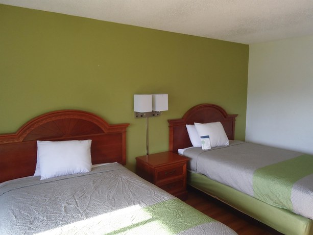 Imagen de la habitación del Hotel Red Roof Inn Wildwood, Fl - The Villages. Foto 11