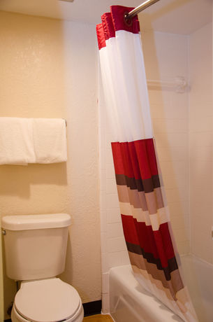 Imagen de la habitación del Hotel Red Roof Inn Williamsburg. Foto 5