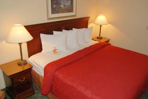 Imagen general del Hotel Red Roof Inn & Suites Berea. Foto 1