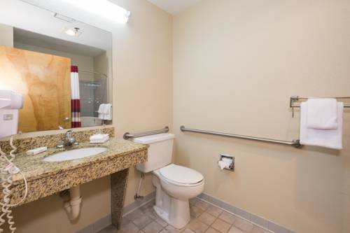 Imagen de la habitación del Hotel Red Roof Inn & Suites Middletown - Franklin. Foto 11