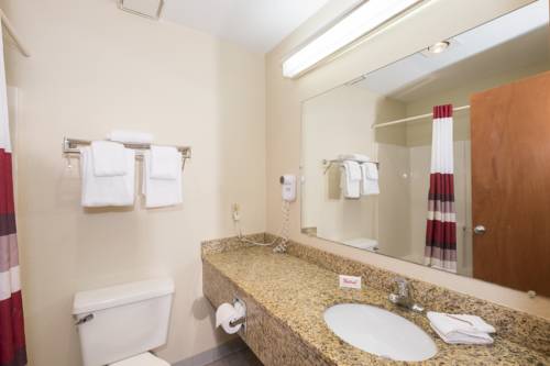 Imagen de la habitación del Hotel Red Roof Inn & Suites Middletown - Franklin. Foto 12
