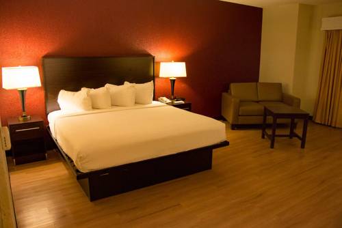 Imagen de la habitación del Hotel Red Roof Inn and Conference Center Wichita Airport. Foto 4