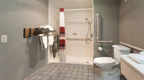 Imagen de la habitación del Hotel Red Roof Inn and Suites Dekalb. Foto 4
