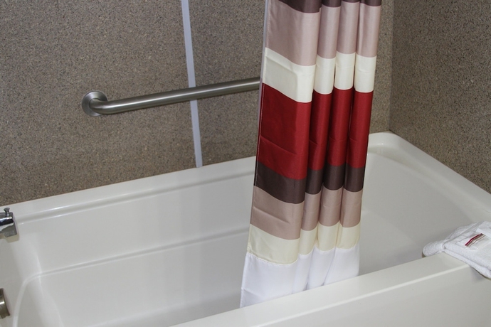 Imagen de la habitación del Hotel Red Roof Inn and Suites Detroit-melvindale/dearborn. Foto 11