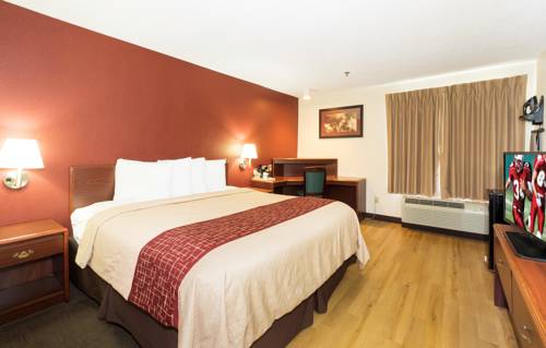 Imagen de la habitación del Hotel Red Roof Inn and Suites Dover Downtown. Foto 11