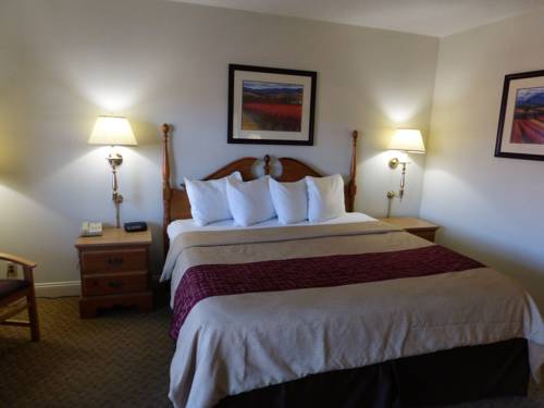 Imagen de la habitación del Hotel Red Roof Inn and Suites Hazleton. Foto 2