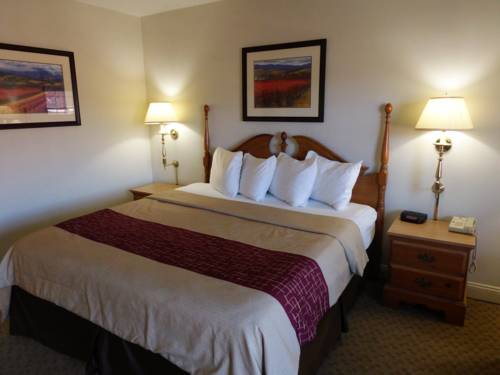 Imagen de la habitación del Hotel Red Roof Inn and Suites Hazleton. Foto 5