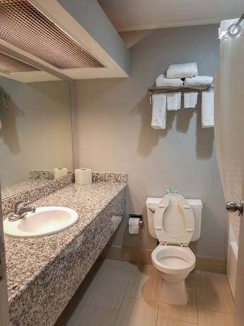 Imagen de la habitación del Hotel Red Roof Inn and Suites Lexington - Hamburg. Foto 7