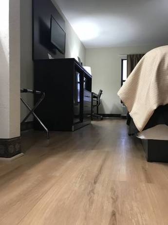 Imagen de la habitación del Hotel Red Roof Inn and Suites Monee. Foto 7