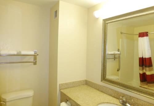 Imagen general del Hotel Red Roof Inn and Suites Newnan. Foto 1