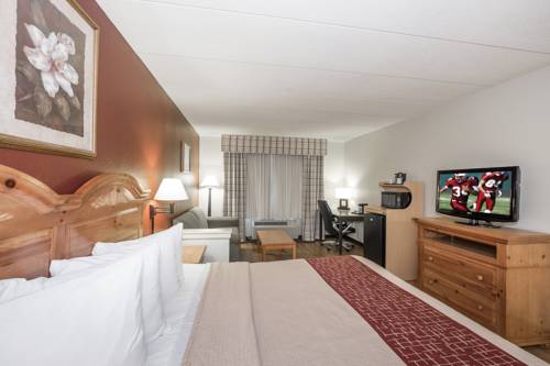 Imagen de la habitación del Hotel Red Roof Inn and Suites Stafford. Foto 3