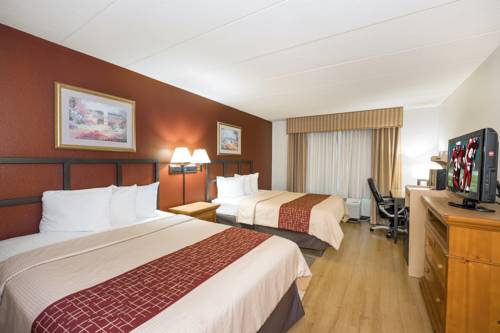 Imagen de la habitación del Hotel Red Roof Inn and Suites Stafford. Foto 8