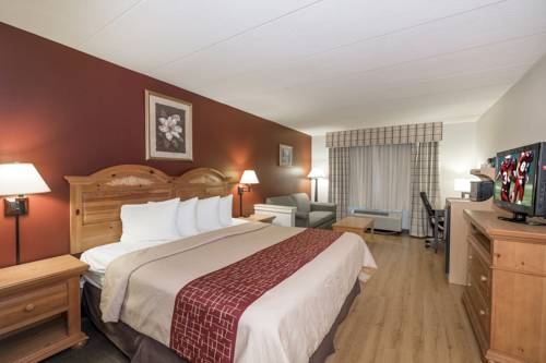 Imagen de la habitación del Hotel Red Roof Inn and Suites Stafford. Foto 13