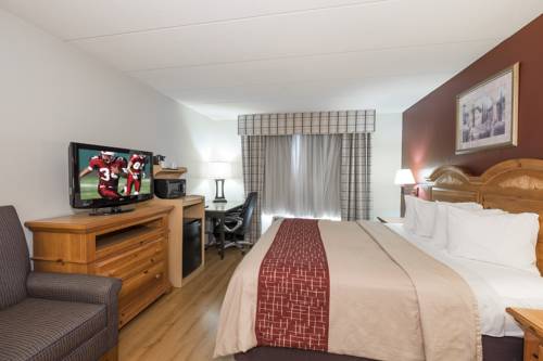 Imagen de la habitación del Hotel Red Roof Inn and Suites Stafford. Foto 14