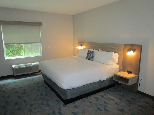 Imagen de la habitación del Hotel Reddy Bonham. Foto 10