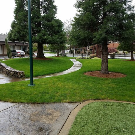 Imagen general del Hotel Redwood Hyperion Suites. Foto 14