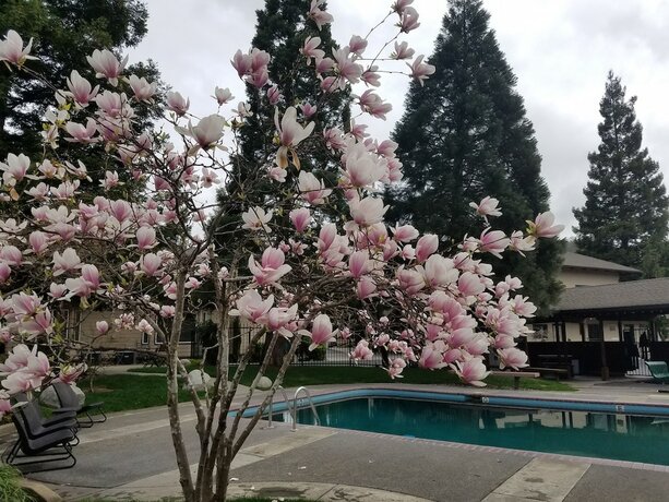 Imagen general del Hotel Redwood Hyperion Suites. Foto 17