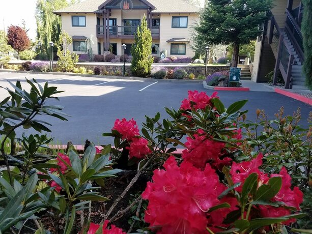 Imagen general del Hotel Redwood Hyperion Suites. Foto 18