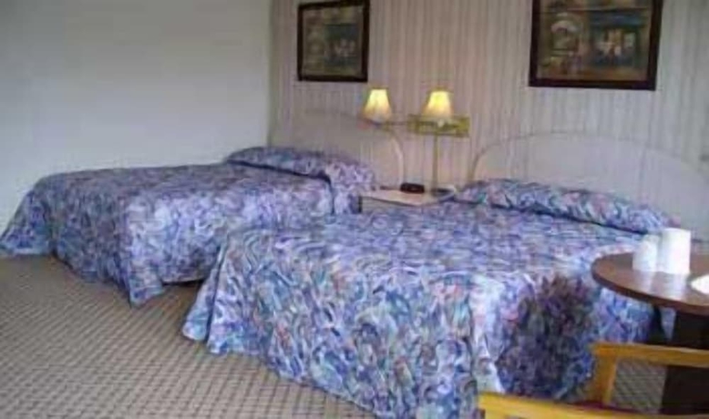 Imagen de la habitación del Hotel Redwood Inn, Santa Rosa. Foto 2