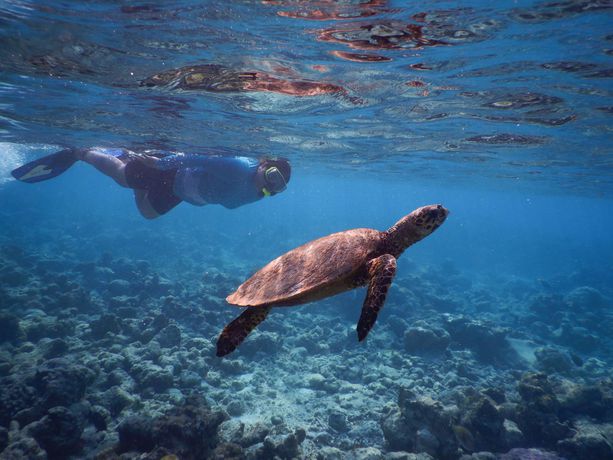 Imagen general del Hotel Reethi Faru Resort. Foto 3