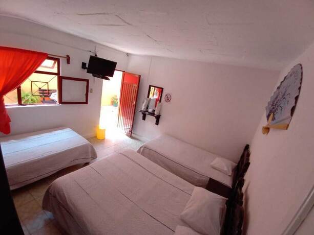 Imagen de la habitación del Hotel Reforma Inn. Foto 10