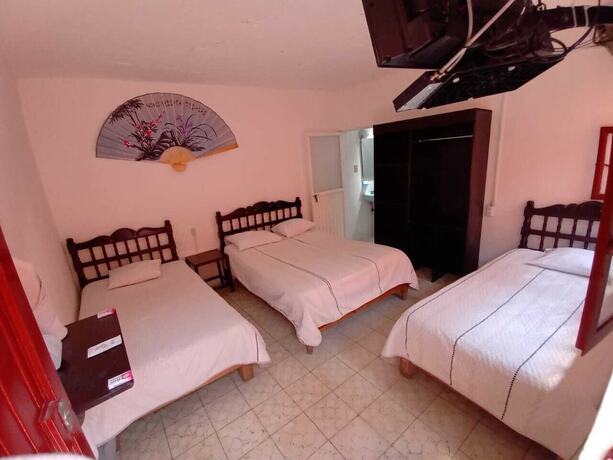 Imagen de la habitación del Hotel Reforma Inn. Foto 15