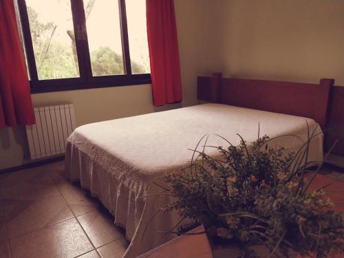 Imagen de la habitación del Hotel Ref&uacute;gio Da Floresta. Foto 8