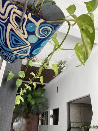 Imagen de la habitación del Hotel Refugio Llanero. Foto 18
