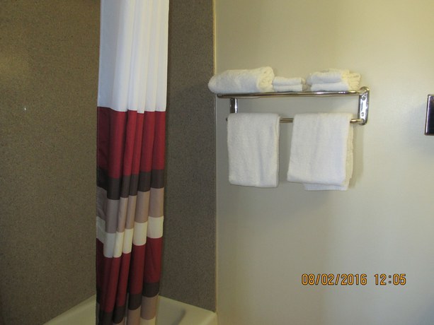 Imagen de la habitación del Hotel Regal Inn - Chicago O'hare Airport. Foto 4