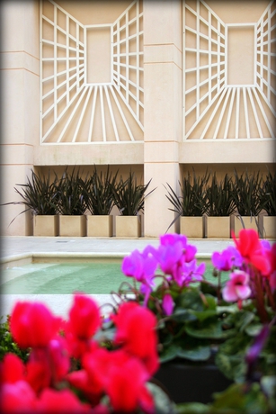 Imagen de la piscina del Hotel Regal Pacific Buenos Aires. Foto 12